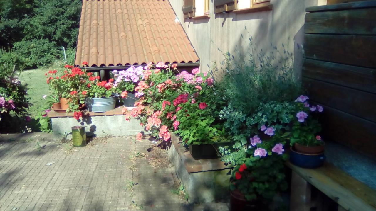 Il Pettirosso Di Giusvalla ภายนอก รูปภาพ