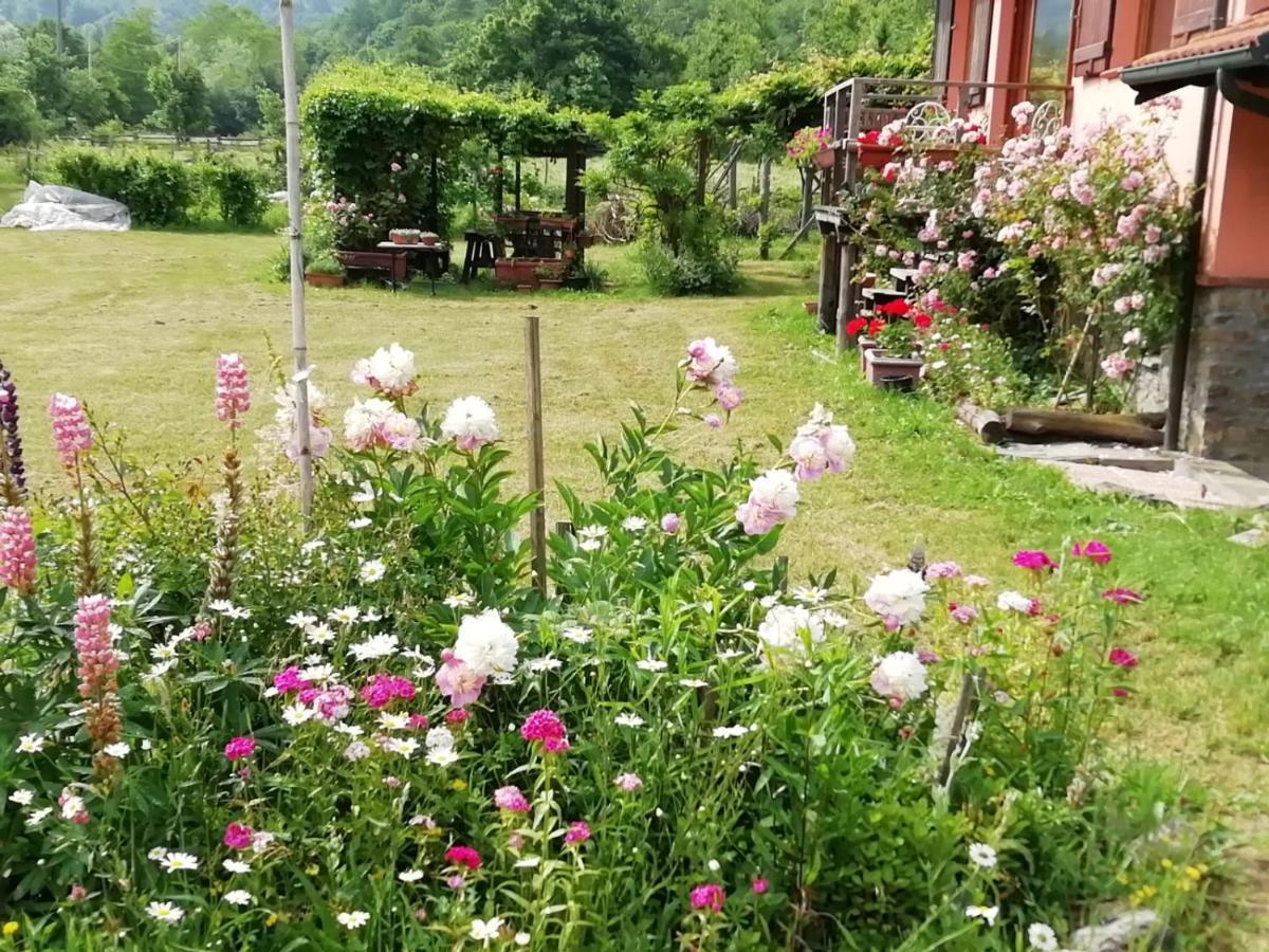 Il Pettirosso Di Giusvalla ภายนอก รูปภาพ
